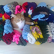 Bailey joined the competition — help win amazing prizes! cat, orange_cat, white_cat, crochet, blanket, rolled_blanket, colorful, cozy, fabric, textile, indoor, pet, fur, relaxed, resting, looking, cute, home, craft, pattern