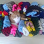 cat, orange_cat, white_cat, crochet, blanket, rolled_blanket, colorful, cozy, fabric, textile, indoor, pet, fur, relaxed, resting, looking, cute, home, craft, pattern