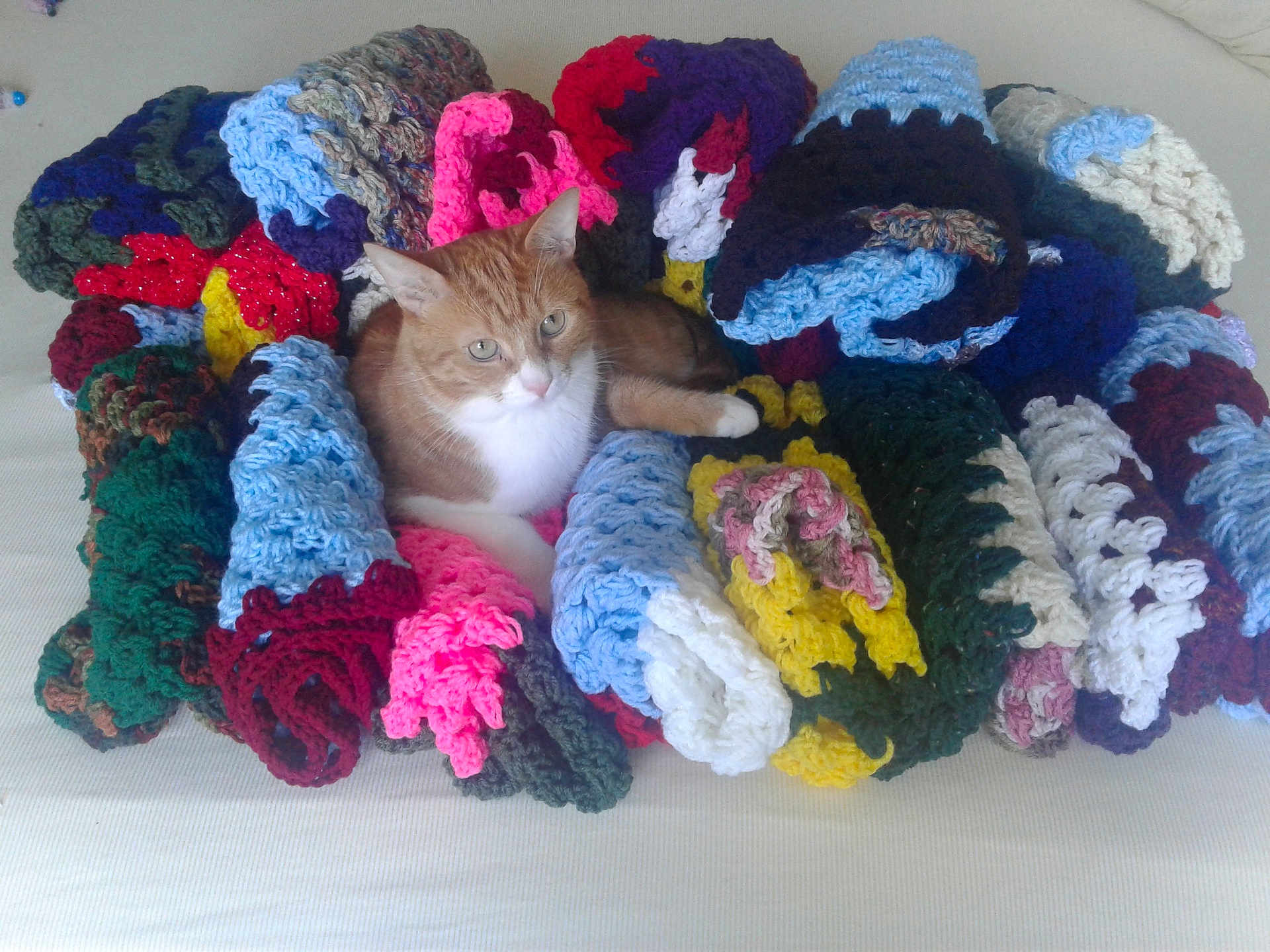 Bailey joined the competition — help win amazing prizes! cat, orange_cat, white_cat, crochet, blanket, rolled_blanket, colorful, cozy, fabric, textile, indoor, pet, fur, relaxed, resting, looking, cute, home, craft, pattern