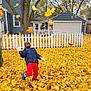 Alexander joined the competition — help win amazing prizes! child, autumn, fall_leaves, yellow_leaves, playing, outdoor, jacket, red_pants, white_gloves, smiling, tree, fence, house, backyard, seasonal, happy, leaves_in_air, nature, yard, casual_clothing