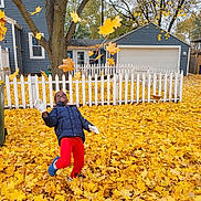 Alexander joined the competition — help win amazing prizes! child, autumn, fall_leaves, yellow_leaves, playing, outdoor, jacket, red_pants, white_gloves, smiling, tree, fence, house, backyard, seasonal, happy, leaves_in_air, nature, yard, casual_clothing