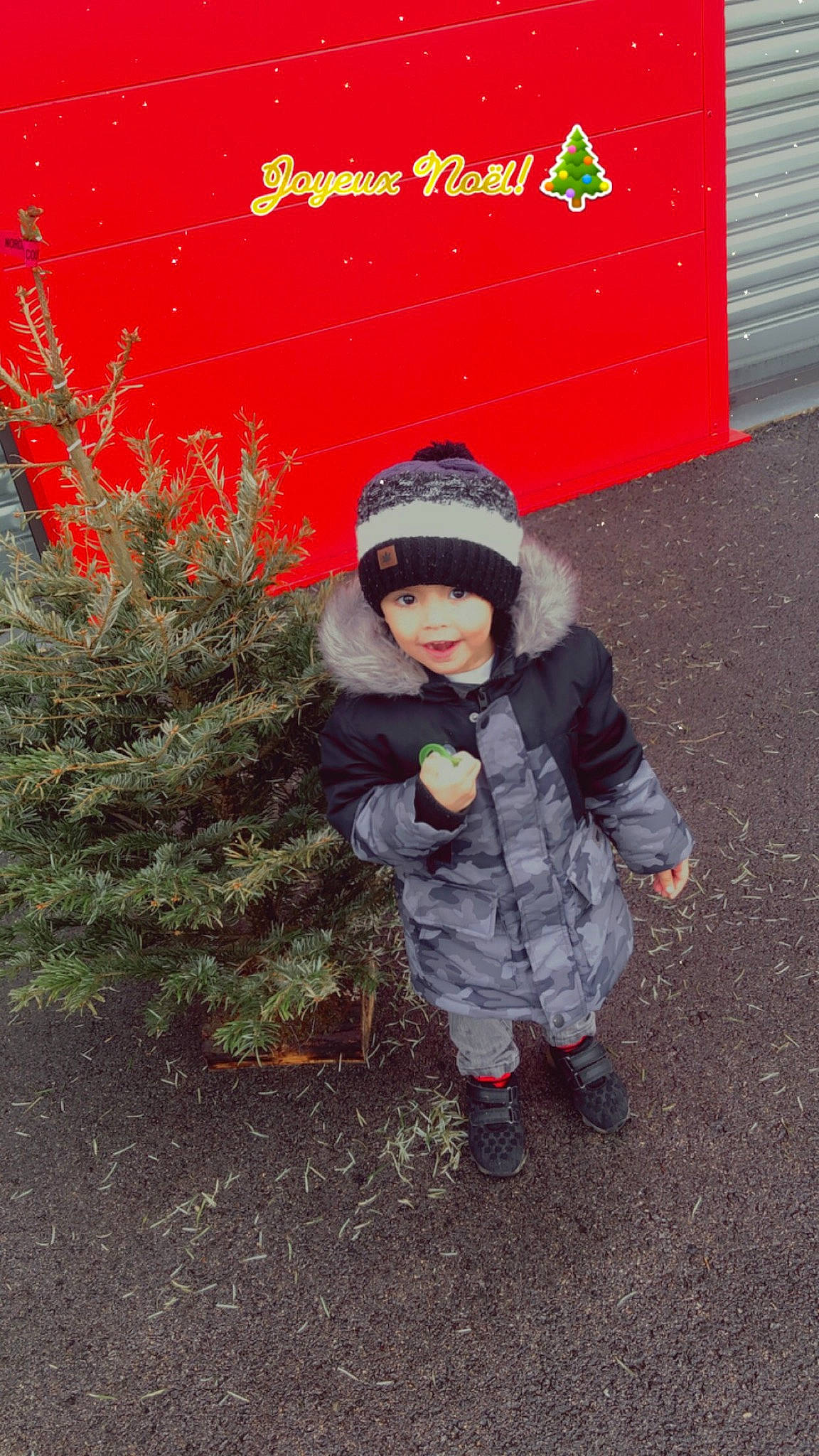 Sajad participe au concours pour gagner de l'argent avec cette photo : baby, baby_toddler_clothing, child, christmas_decoration, conifer, evergreen, fir, font, fun, grass, happy, holiday, hoodie, jacket, leaf, people_in_nature, person, plant, toddler, tree