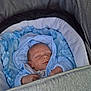 adorable, baby, blanket, blue_clothing, bundle, child, closeup, cozy, cushion, cute, hood, indoors, infant, newborn, peaceful, portrait, resting, sleeping, soft_fabric, stroller