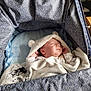 Ronnie joined the competition — help win amazing prizes! baby, sleeping, blanket, hood, bear_ears, bassinet, blue, floral_pattern, cozy, infant, resting, peaceful, child, soft_lighting, cute, indoors, fabric, textile, comfort, portrait