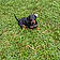 Rocky
