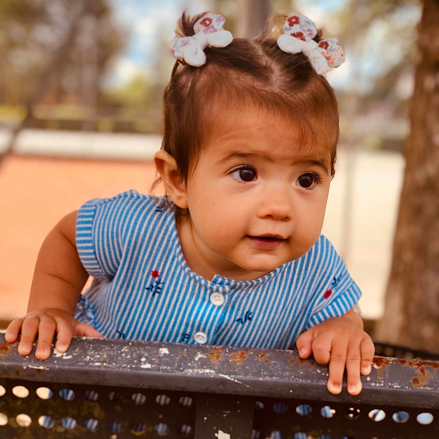 Heïana a rejoint le concours — aidez-le/la à gagner de superbes lots ! baby, bench, blue_dress, child, curious, cute, daylight, expression, face, hair_bows, hands, nature, outdoor, person, playground, portrait, skin, striped_clothing, toddler, young_child
