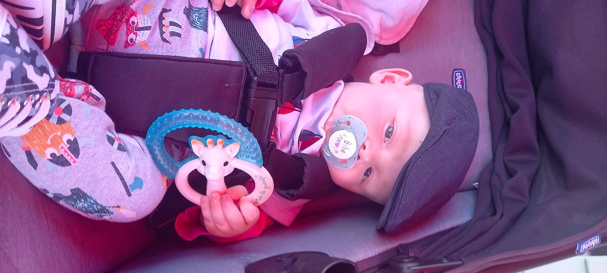 Nolan a rejoint le concours — aidez-le/la à gagner de superbes lots ! baby, baby_products, baby_toddler_clothing, baby_toys, carmine, child, facial_expression, fun, happy, headwear, magenta, mammal, person, pink, plush, purple, skin, stuffed_toy, textile, toddler