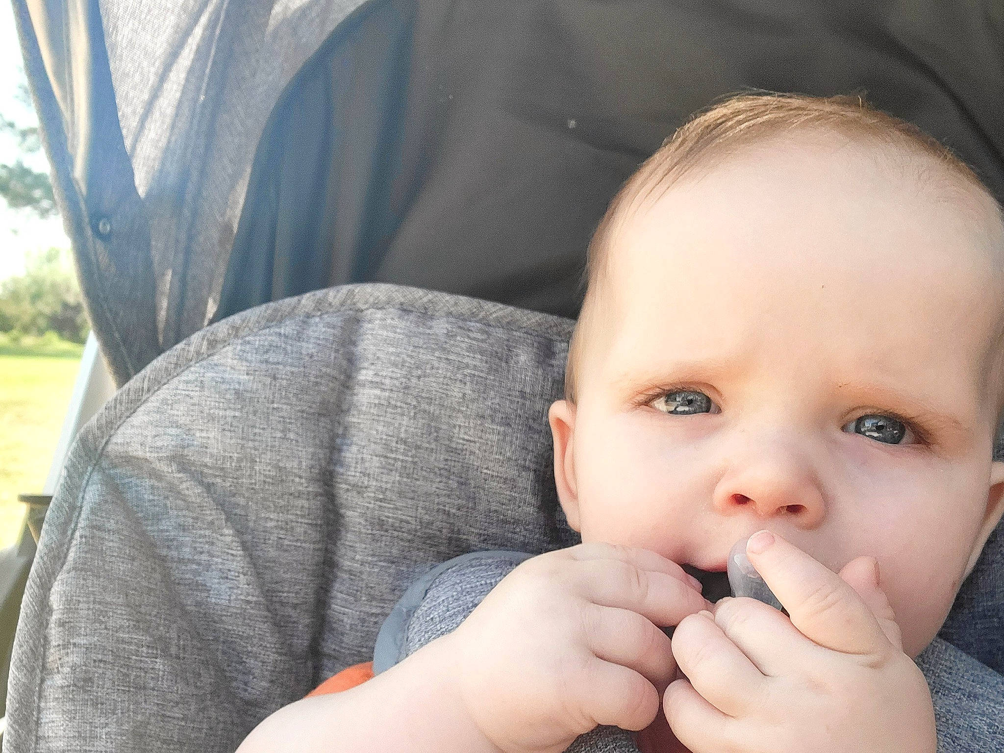 Henry is registered to the contest to win money with this photo: baby, cheek, chin, comfort, eyebrow, eyelash, facial_expression, finger, gesture, hand, happy, lip, mouth, nail, nose, person, plant, skin, thumb, toddler