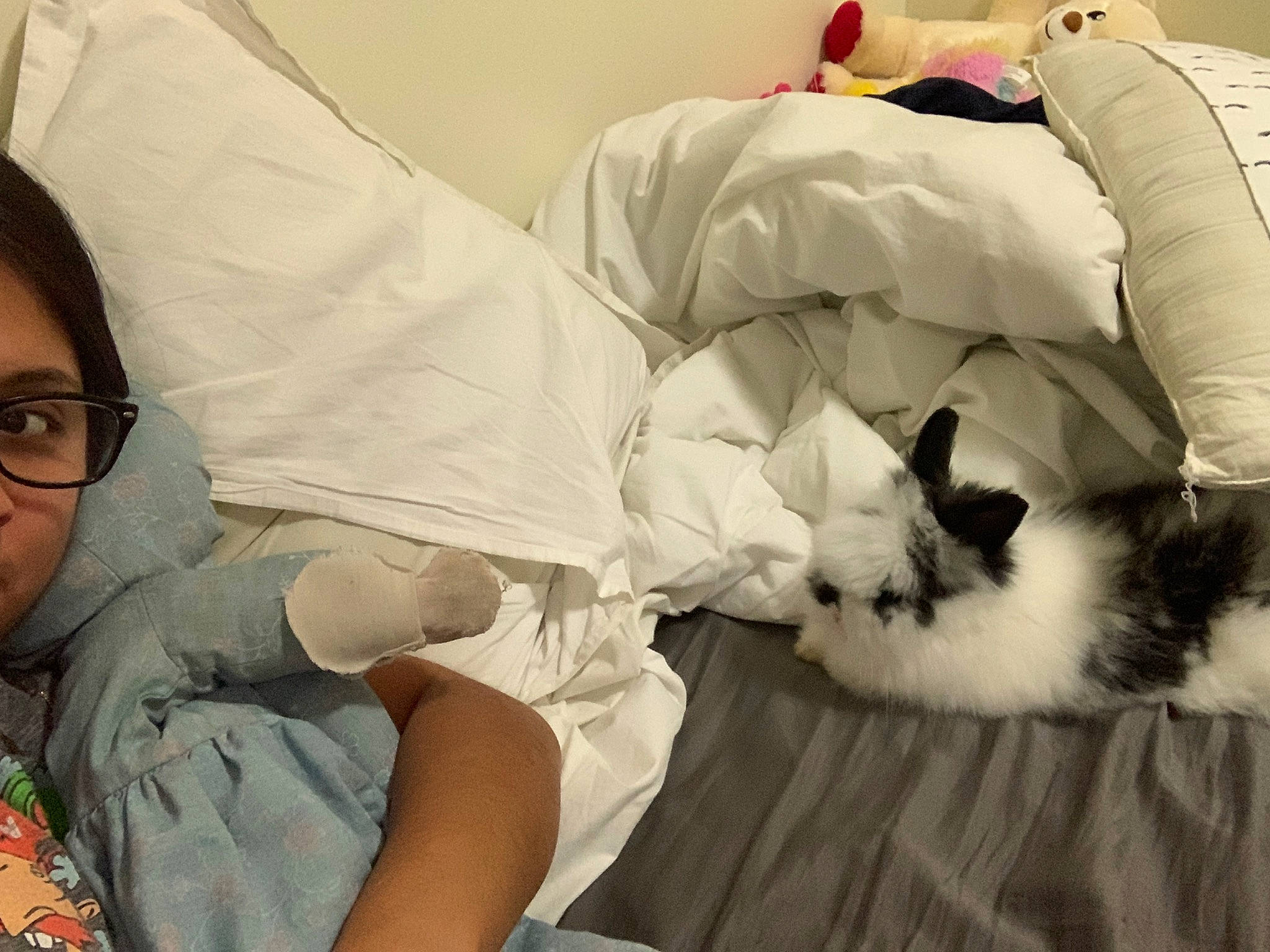 Pepper is registered to the contest to win money with this photo: carnivore, cat, comfort, companion_dog, ear, felidae, fur, glasses, human, kitten, nap, nose, room, sleep, small_to_medium_sized_cats