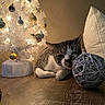 Bunny joined the competition — help win amazing prizes! cat, tabby_cat, christmas_tree, ornaments, decorative_ball, wooden_surface, indoor, holiday, festive, lighting, shadow, curious, relaxed, animal, pet, white_tree, gold_ornaments, silver_ornaments, cozy, decor