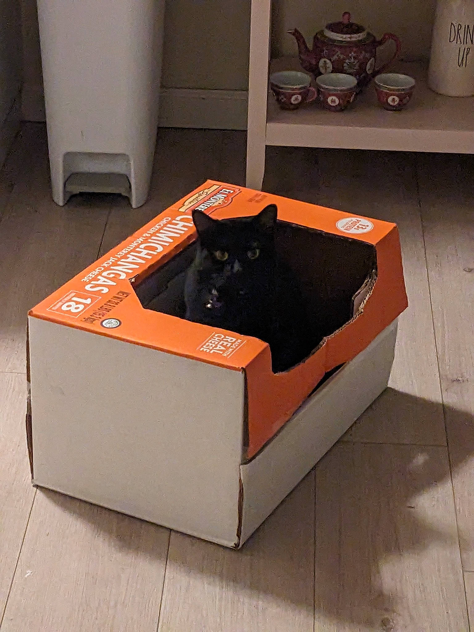 Beelzebub is registered to the contest to win money with this photo: automotive_design, bag, box, carnivore, carton, cat, coffee_table, comfort, couch, felidae, flooring, hardwood, luggage_and_bags, ottoman, packaging_and_labeling, rectangle, room, small_to_medium_sized_cats, studio_couch, wood