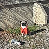 Franklin Roosevelt joined the competition — help win amazing prizes! dog, pug, small_dog, red_jacket, clothing, outdoor, sitting, pet, animal, canine, face, portrait, leaves, gravel, grass, rock, stone, toy, sunlight, shadow