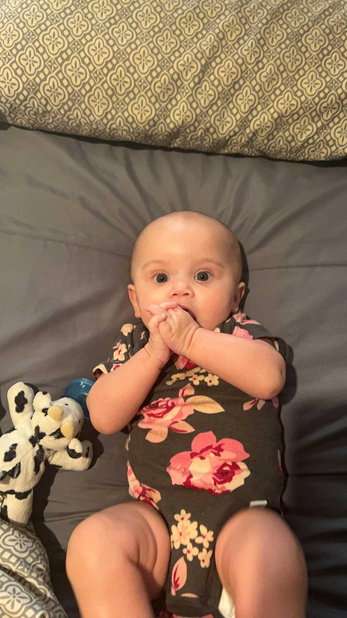 Scarlett is registered to the contest to win money with this photo: baby, baby_toddler_clothing, carnivore, cheek, child, comfort, eye, finger, flash_photography, head, human_body, iris, mammal, mouth, organ, person, skin, surprise, textile, thigh