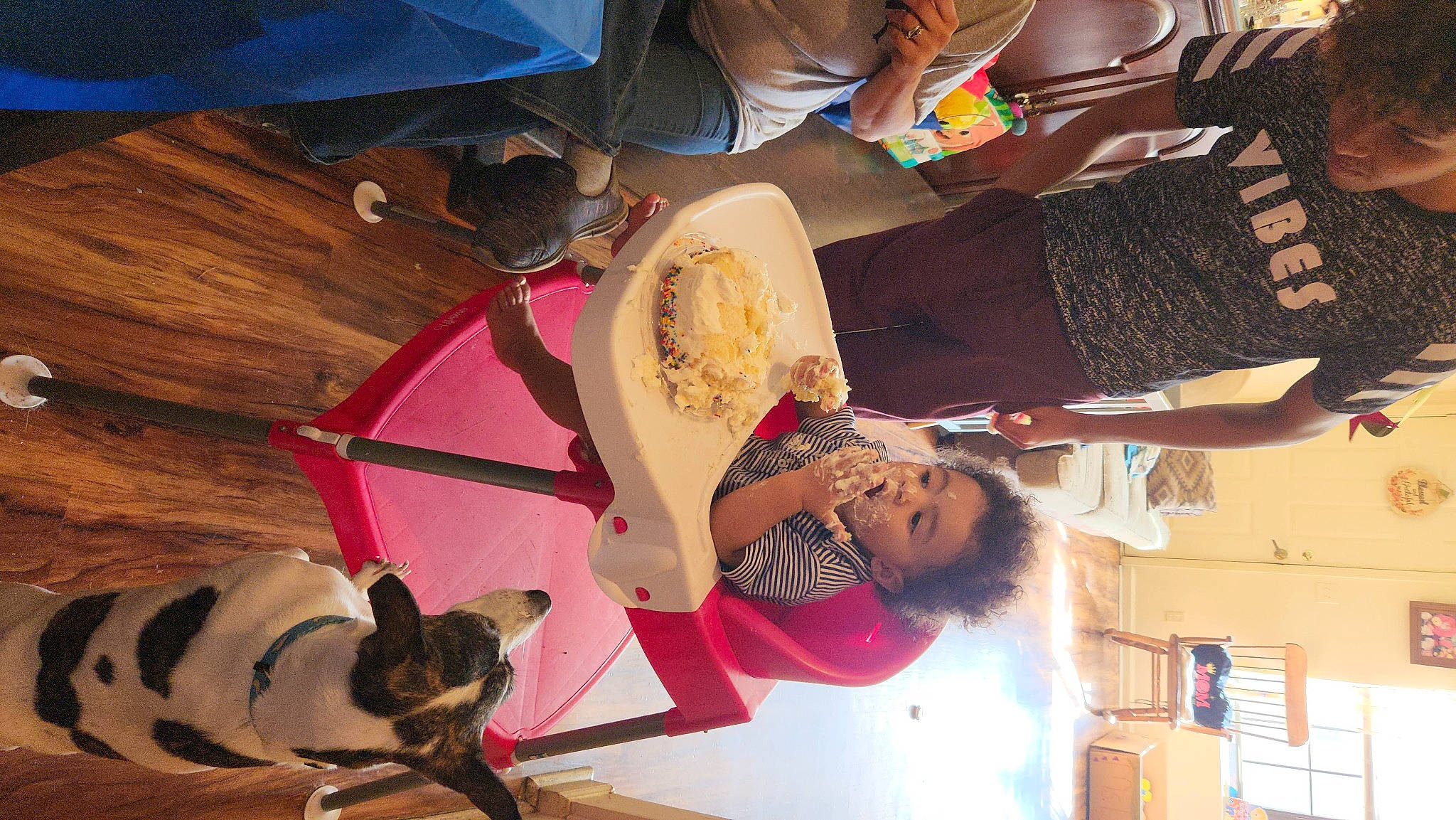 Moses joined the competition — help win amazing prizes! companion_dog, dog, drum, flooring, fun, hardwood, leisure, person, plant, plywood, room, tree, visual_arts, wood, wood_flooring