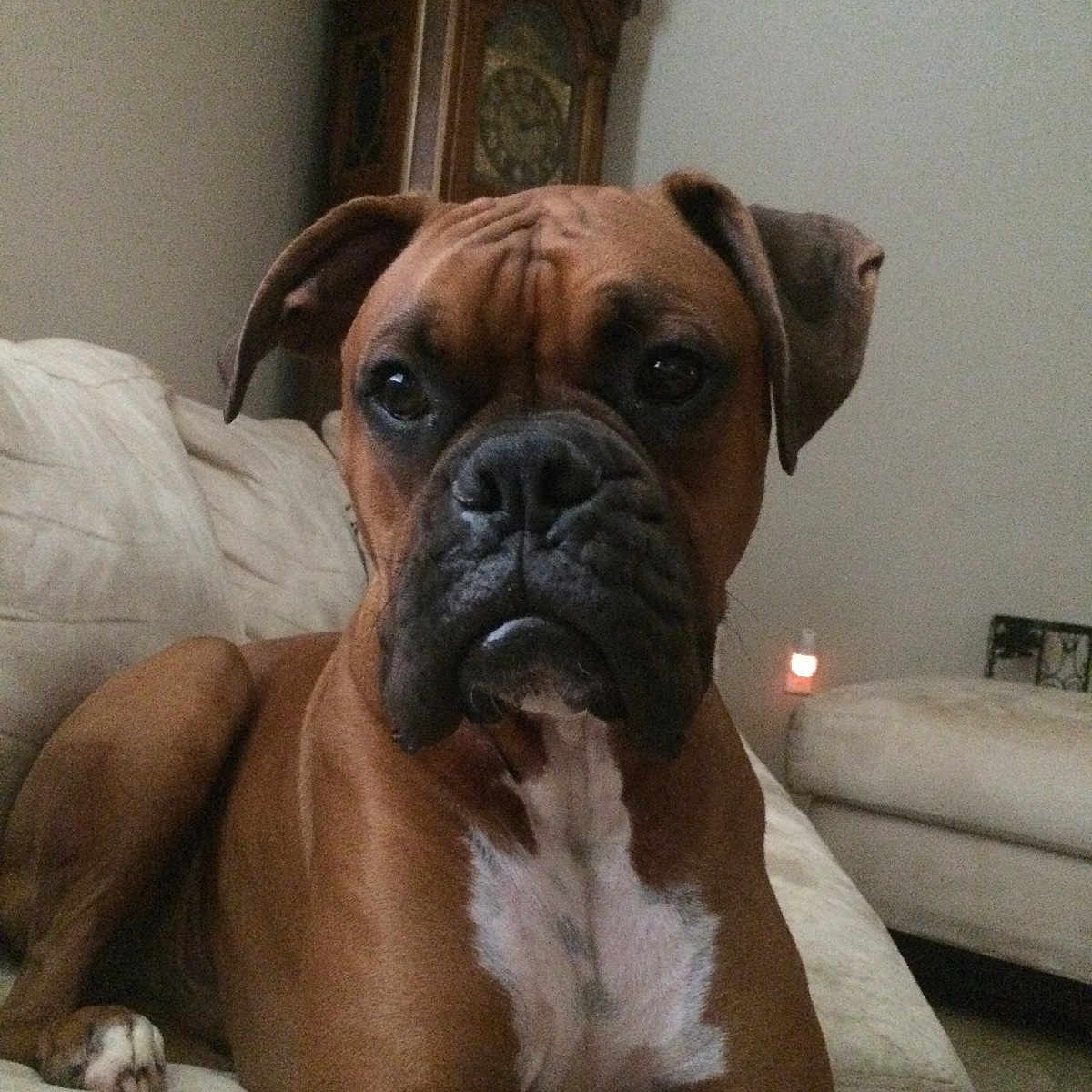 Lennox is registered to the contest to win money with this photo: