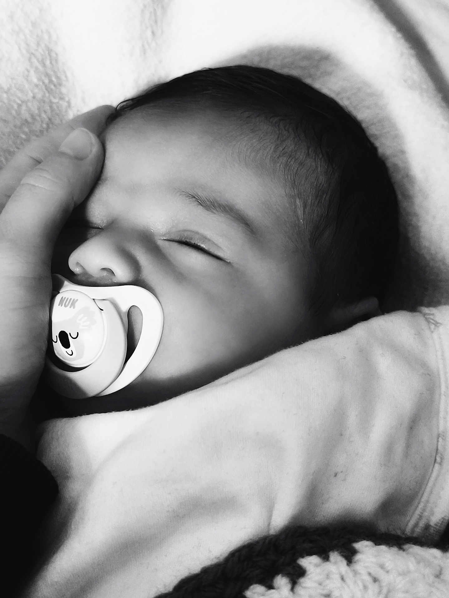 Giani a rejoint le concours — aidez-le/la à gagner de superbes lots ! baby, sleeping, pacifier, hand, blanket, black_and_white, newborn, face, closeup, infant, peaceful, cuddle, soft, portrait, child, rest, cute, cozy, wrapped, tender