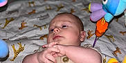 Levi is registered to the contest to win money with this photo: architecture, baby, bed, blanket, bodypart, building, crib, egg, face, finger, food, furniture, hand, head, infantbed, newborn, person, photography, portrait, toy