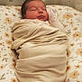 newborn, baby, swaddled, blanket, sleeping, floral, cushion, infant, cozy, resting, bedroom, soft, cute, peaceful, portrait, wrapped, head, face, person, indoors