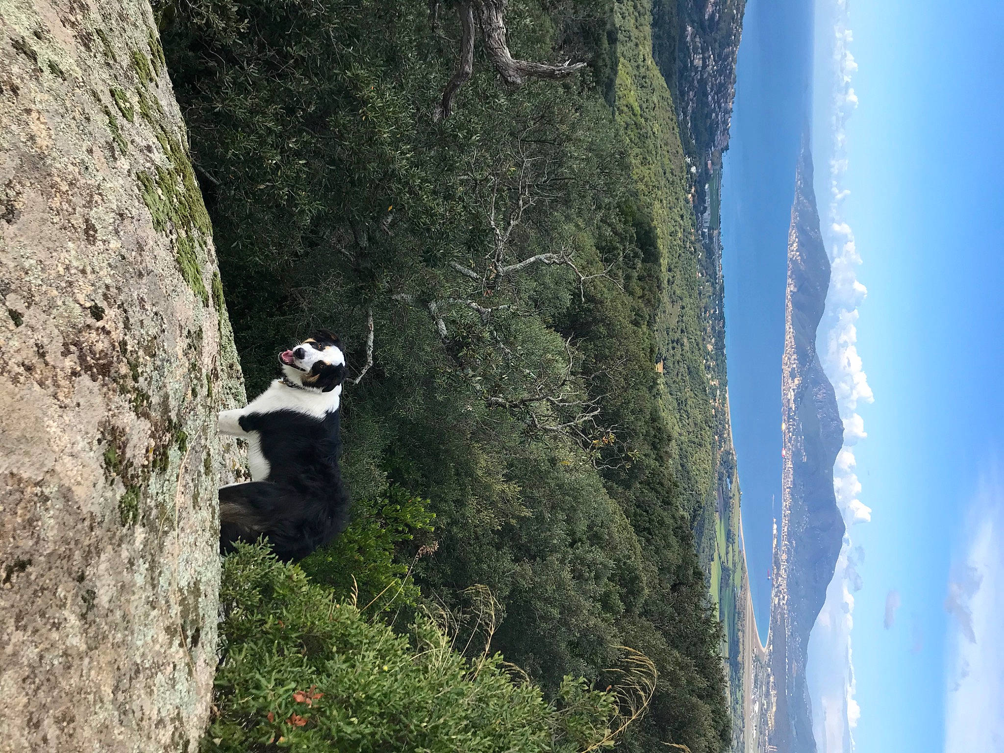 Roccu participe au concours pour gagner de l'argent avec cette photo : adventure, bedrock, cloud, escarpment, fault, formation, geological_phenomenon, klippe, landscape, mountain, mountainous_landforms, natural_landscape, outcrop, plant, recreation, rock, sky, slope, terrain, tree