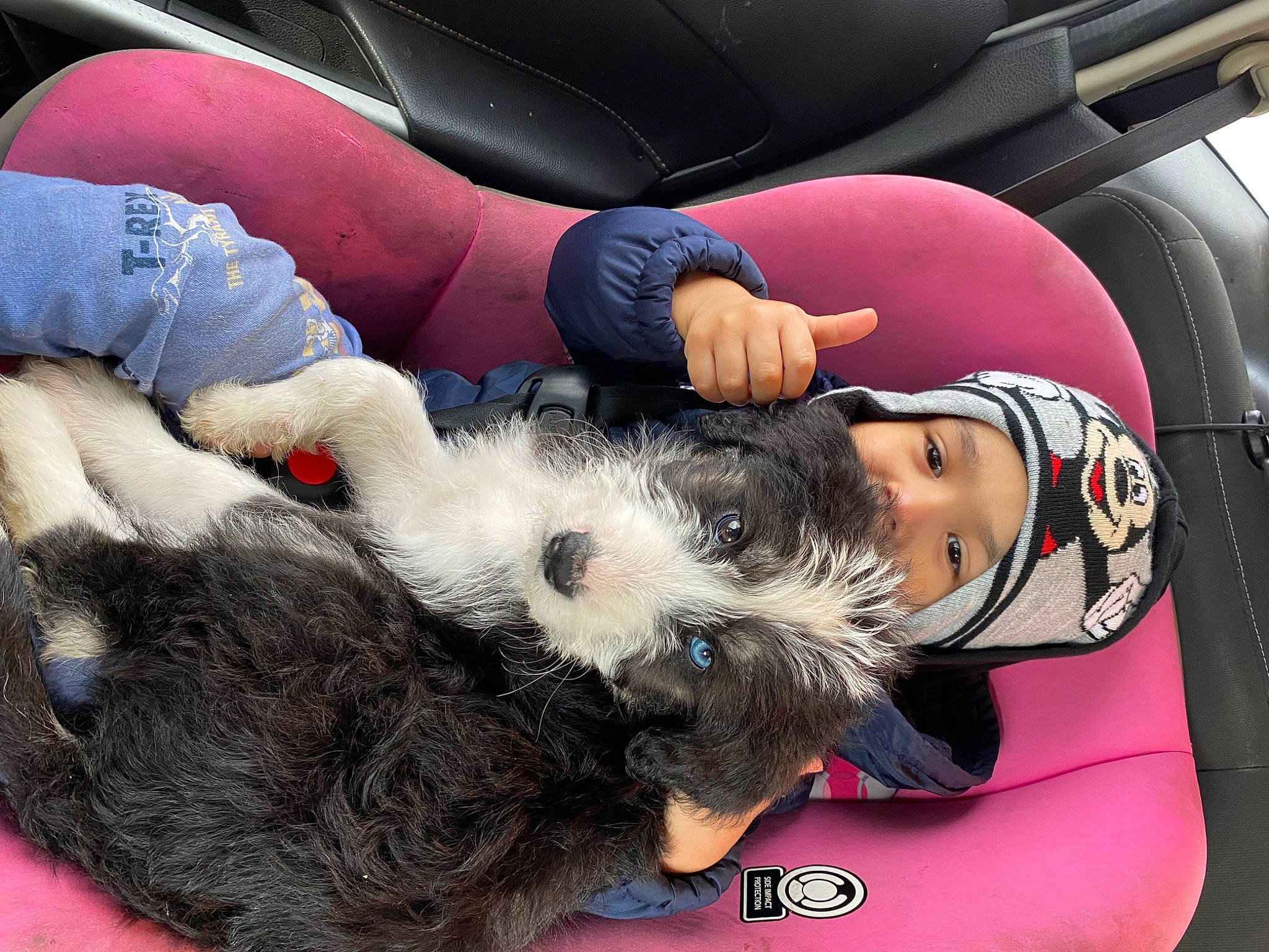 Benjamin joined the competition — help win amazing prizes! auto_part, automotive_design, car_seat, car_seat_cover, comfort, companion_dog, family_car, fun, fur, gesture, headwear, human_leg, lap, luxury_vehicle, mammal, motor_vehicle, person, plush, stuffed_toy, thigh