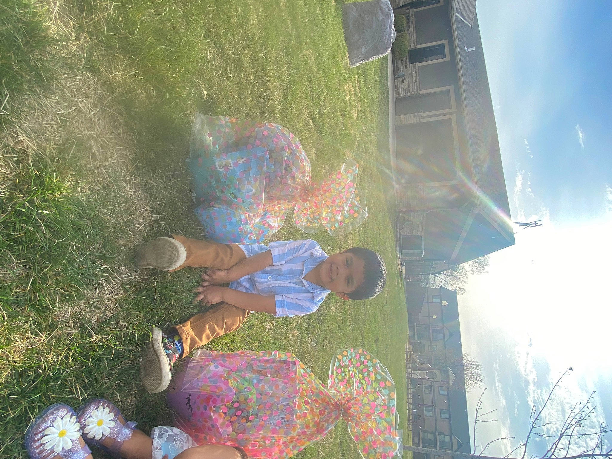 Benjamin joined the competition — help win amazing prizes! ball, fun, grass, joy, landscape, leaf, leisure, lens_flare, person, plant, recreation, reflection, shadow, sky, sunlight, tree, visual_arts, world