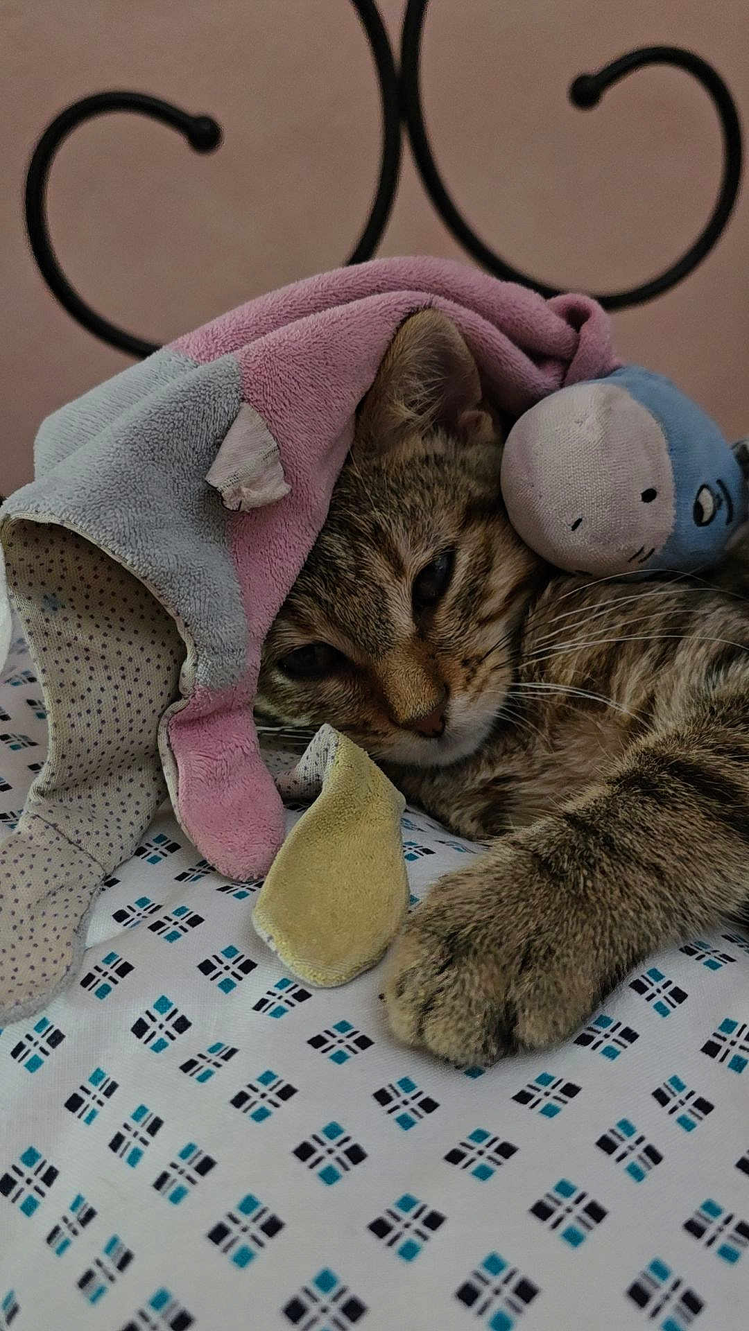 Oz