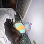 cat, black_cat, bed, blanket, plush_toy, indoor, sleeping, cozy, pet, animal, feline, soft, resting, window_blinds, wall, comfort, domestic, cute, relaxed, furniture