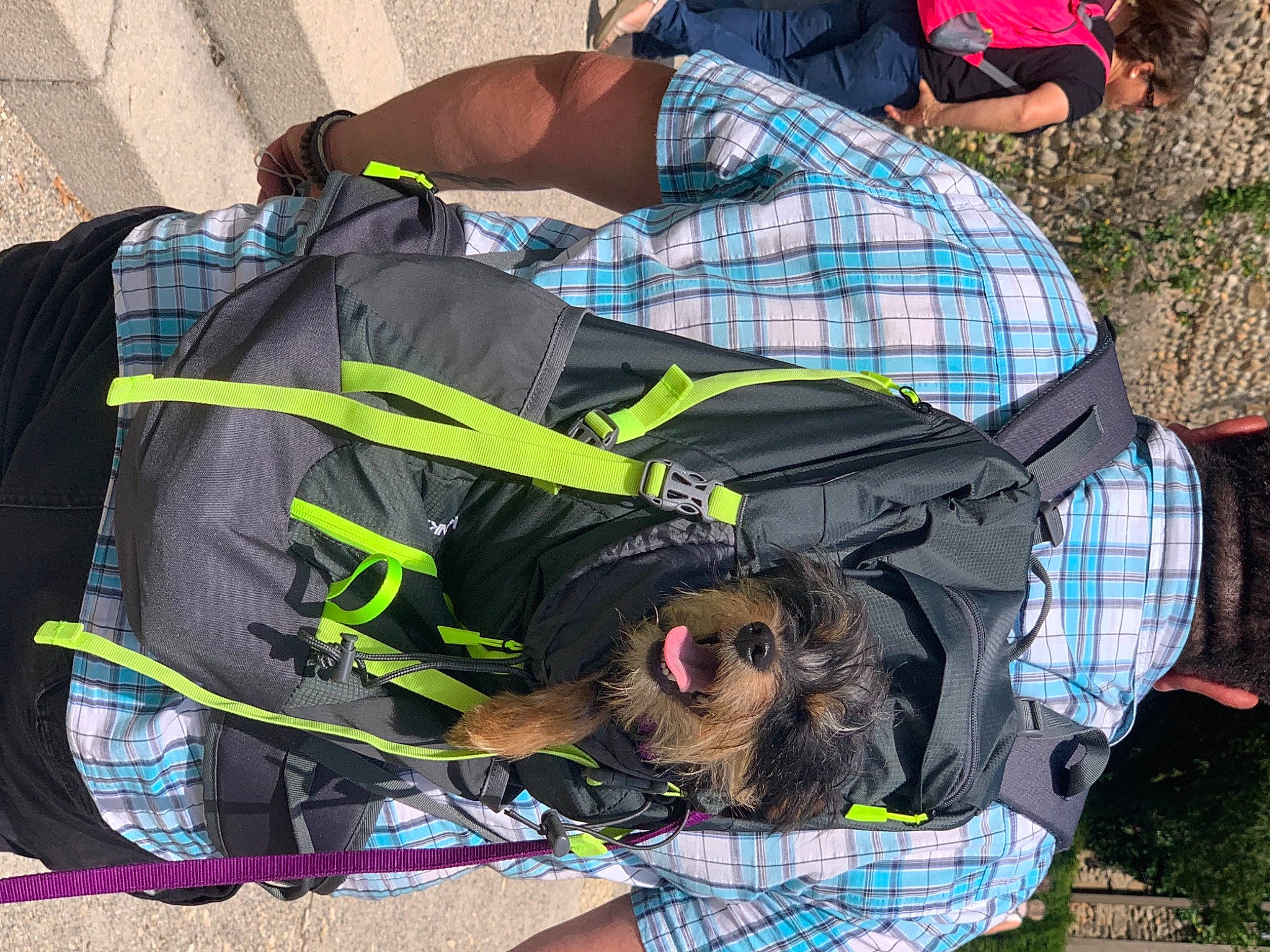 Crotte participe au concours pour gagner de l'argent avec cette photo : bag, baggage, comfort, emergency_service, fun, grass, green, high_visibility_clothing, leisure, luggage_and_bags, pattern, personal_protective_equipment, plaid, recreation, shorts, sitting, sleeve, tartan, textile