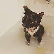 Cash is registered to the contest to win money with this photo: