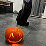black_cat, cat, jack_o_lantern, pumpkin, indoor, floor, tile_floor, curtains, living_room, furniture, tv, cabinet, glowing, orange, carved_pumpkin, pet, animal, cute, decor, night