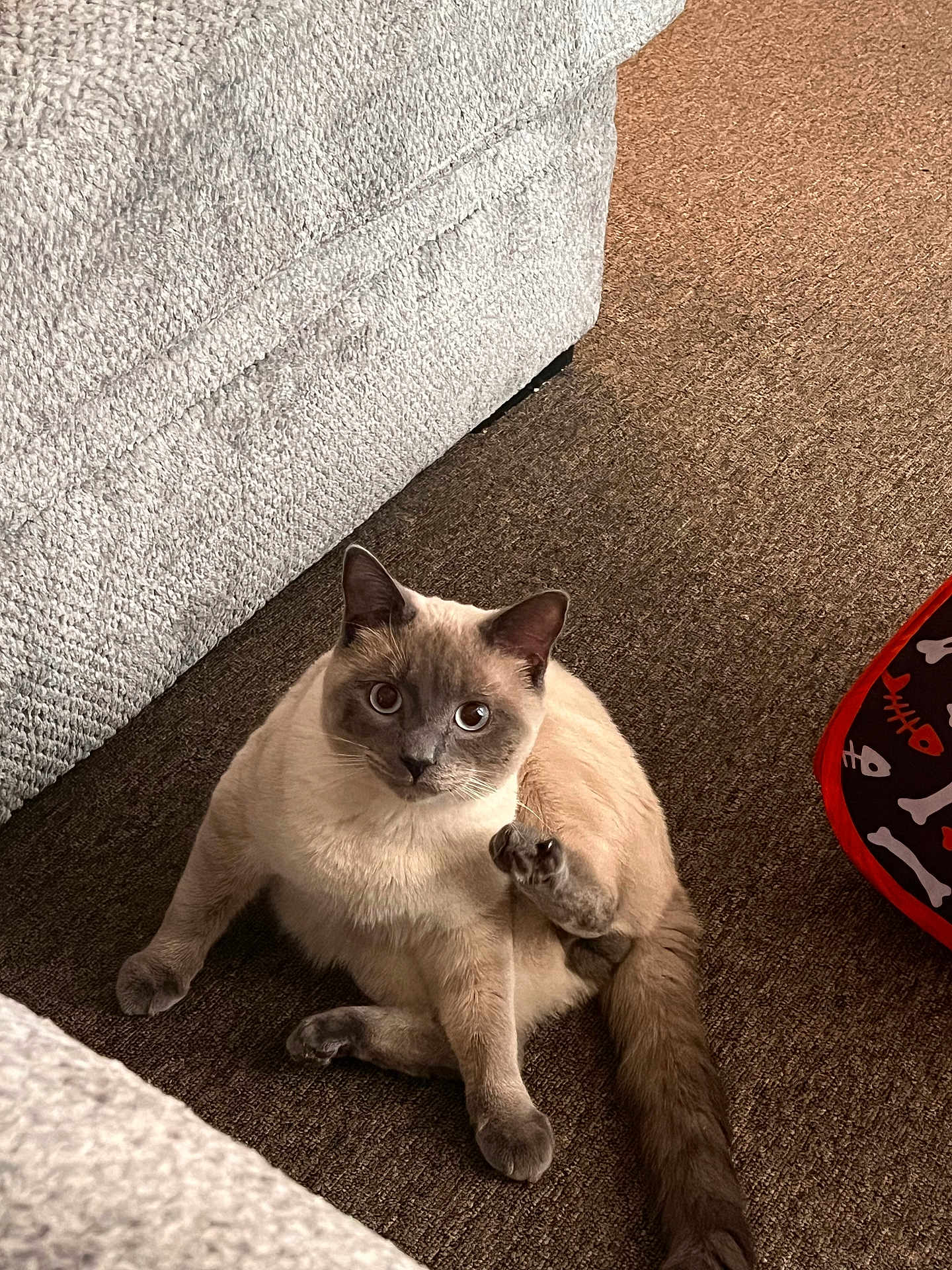 Leo