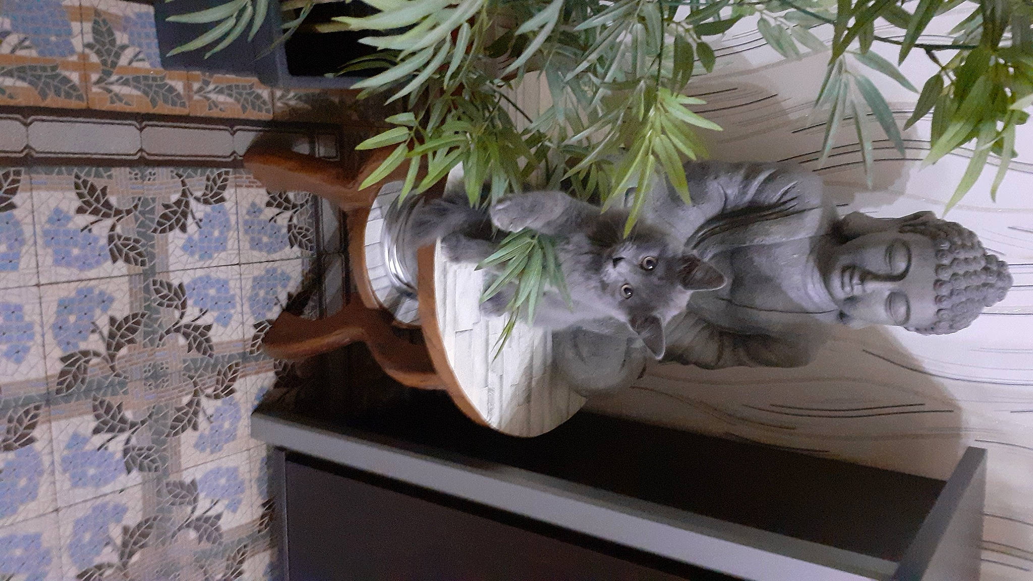 Tigrou a rejoint le concours — aidez-le/la à gagner de superbes lots ! art, building, cut_flowers, floral_design, flower, flower_arranging, flowering_plant, flowerpot, herb, herbaceous_plant, houseplant, molding, plant, room, sculpture, statue, tree, twig, window, wood