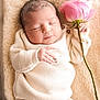 newborn, baby, infant, sleeping, rose, flower, knitwear, blanket, soft, cozy, cute, peaceful, resting, child, portrait, indoors, gentle, skin, hand, head