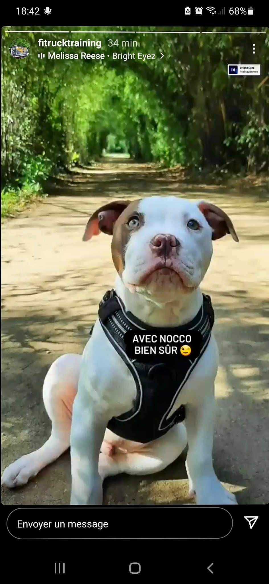Nocco