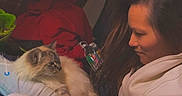 Coco Chanel is registered to the contest to win money with this photo: woman, cat, indoor, pet, fluffy_cat, casual, gaze, cozy, light, red_blanket, clothing, long_hair, relaxing, couch, comfort, portrait, domestic, human, animal, friendship