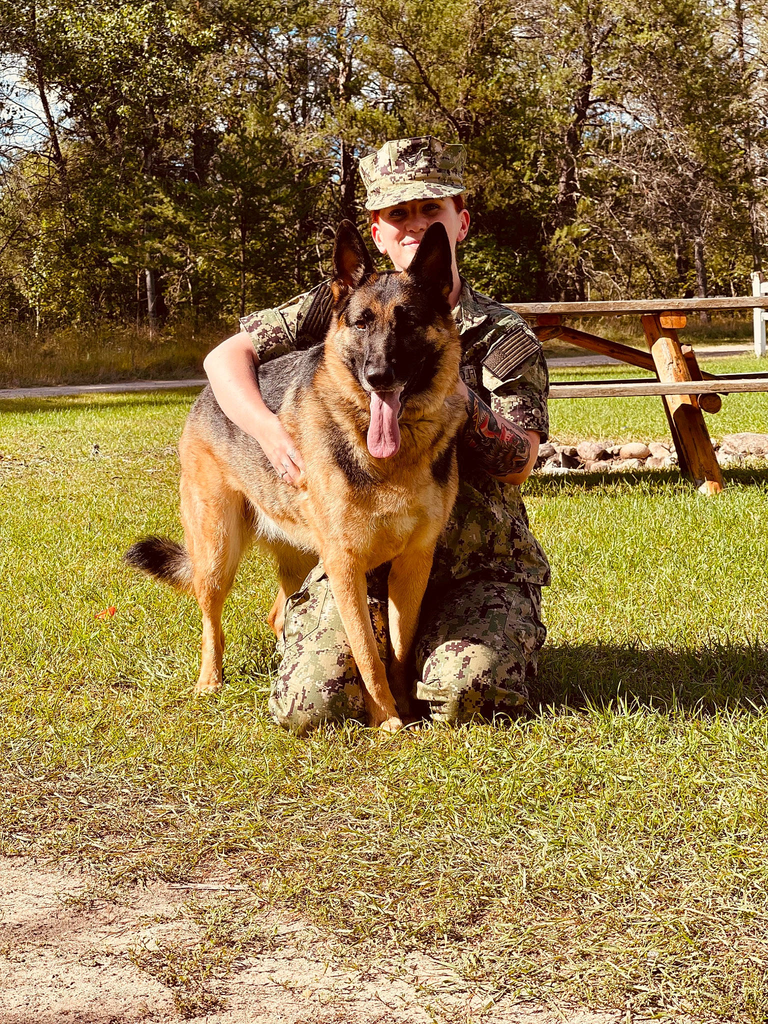 Opal joined the competition — help win amazing prizes! canidae, carnivore, companion_dog, dog, dog_breed, east_european_shepherd, fawn, german_shepherd_dog, grass, guard_dog, hat, herding_dog, king_shepherd, old_german_shepherd_dog, plant, recreation, sporting_group, sun_hat, tree, working_dog