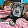 Roxy