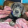 Roxy