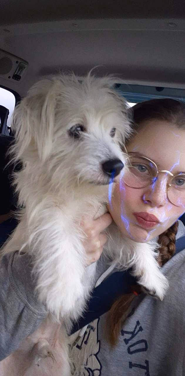 Roby participe au concours pour gagner de l'argent avec cette photo : canidae, carnivore, companion_dog, dog, dog_breed, eyewear, fur, glasses, happy, labradoodle, maltepoo, non_sporting_group, poodle_crossbreed, puppy_love, small_terrier, snout, sporting_group, terrier, toy_dog, vision_care