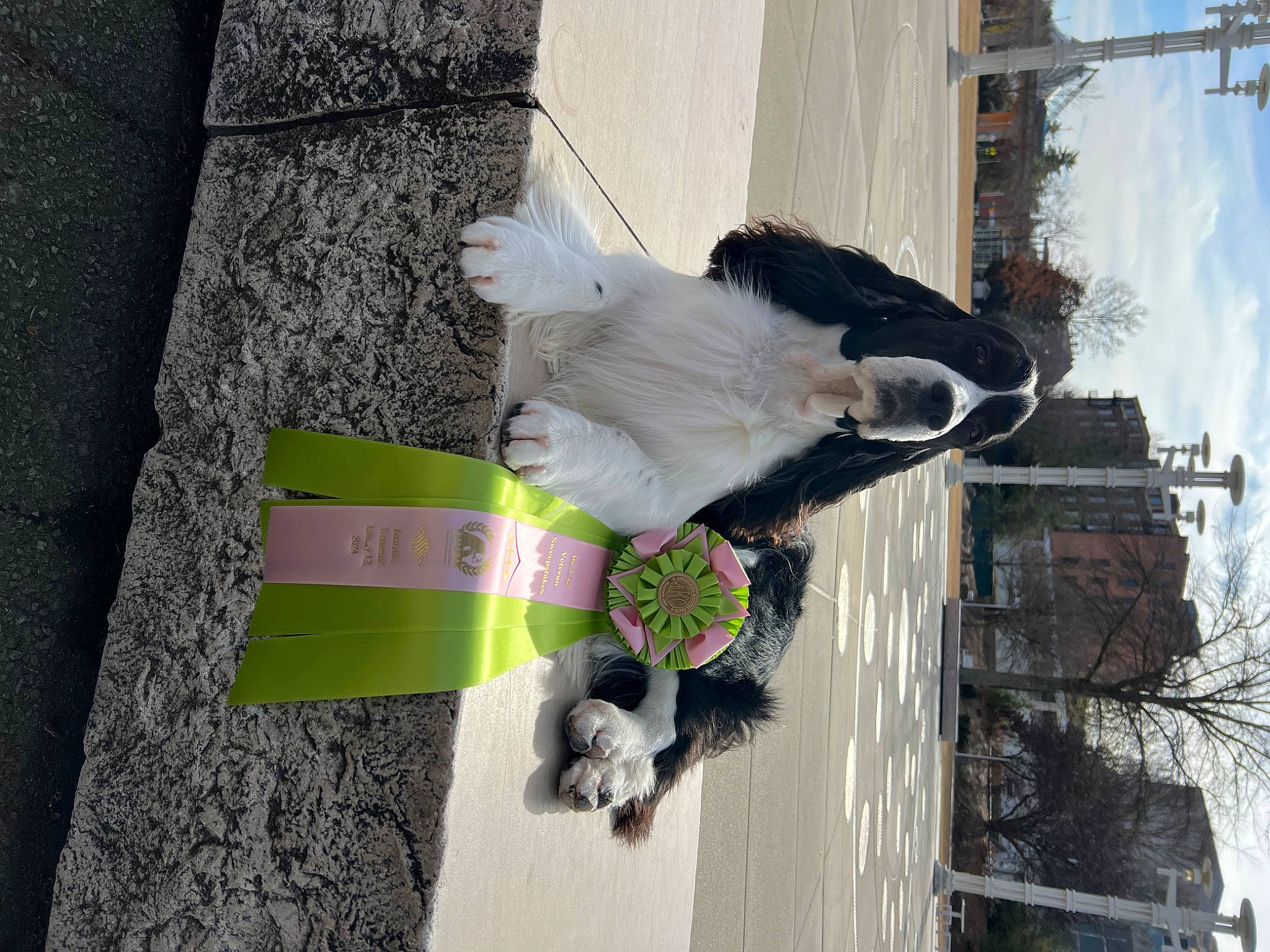 Justin is registered to the contest to win money with this photo: building, cloud, concrete, door, facade, fur, plant, road_surface, sidewalk, sky, sporting_group, tree, wall, water, window, winter, wood, world