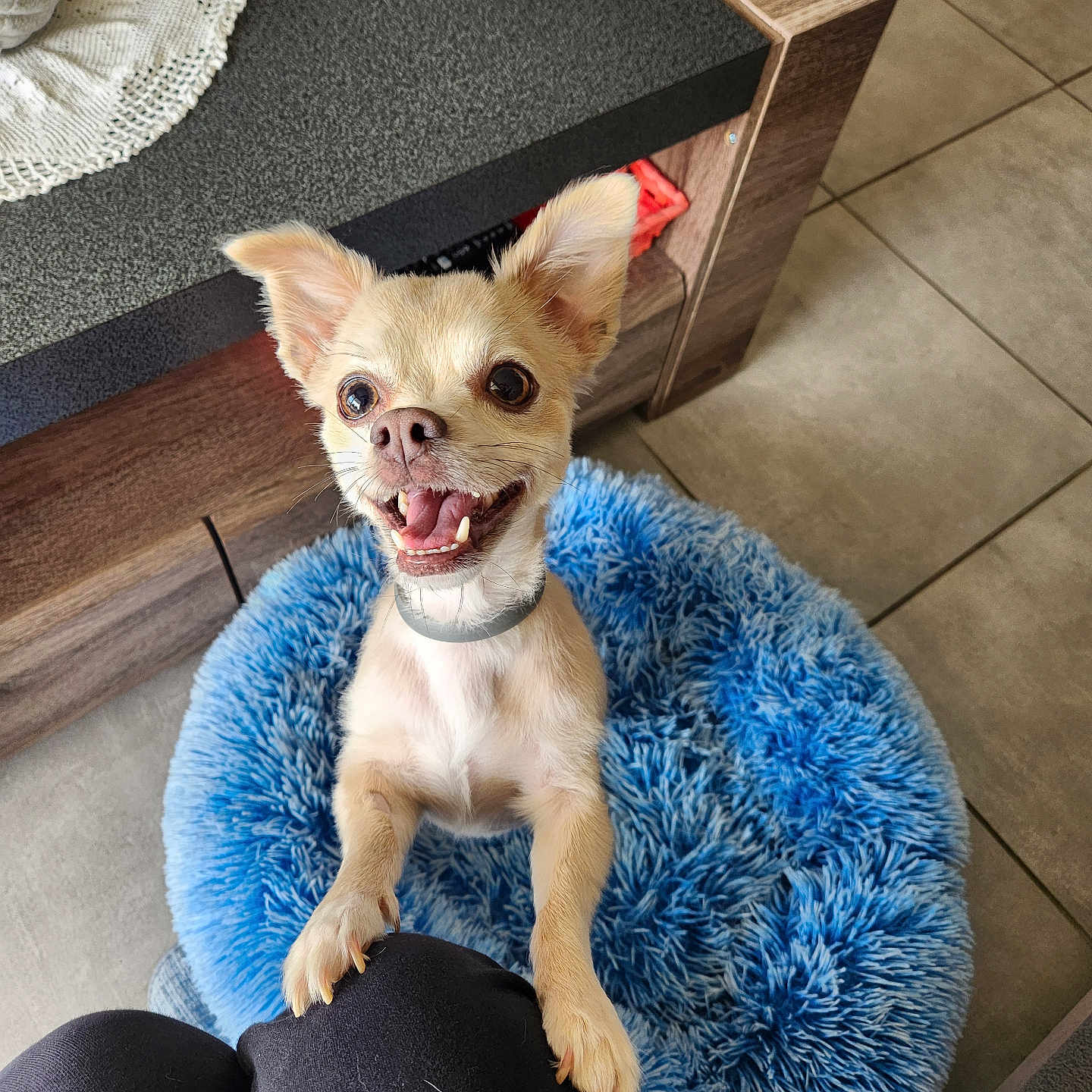 Winnie