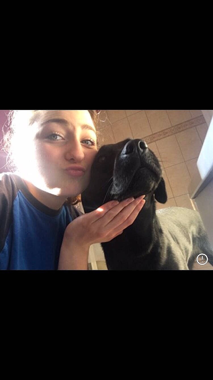 Marley a rejoint le concours — aidez-le/la à gagner de superbes lots ! boxer, cane_corso, canidae, carnivore, companion_dog, cool, dog, dog_breed, ear, fawn, great_dane, guard_dog, labrador_retriever, nose, photography, pug, puppy, selfie, snout, sporting_group