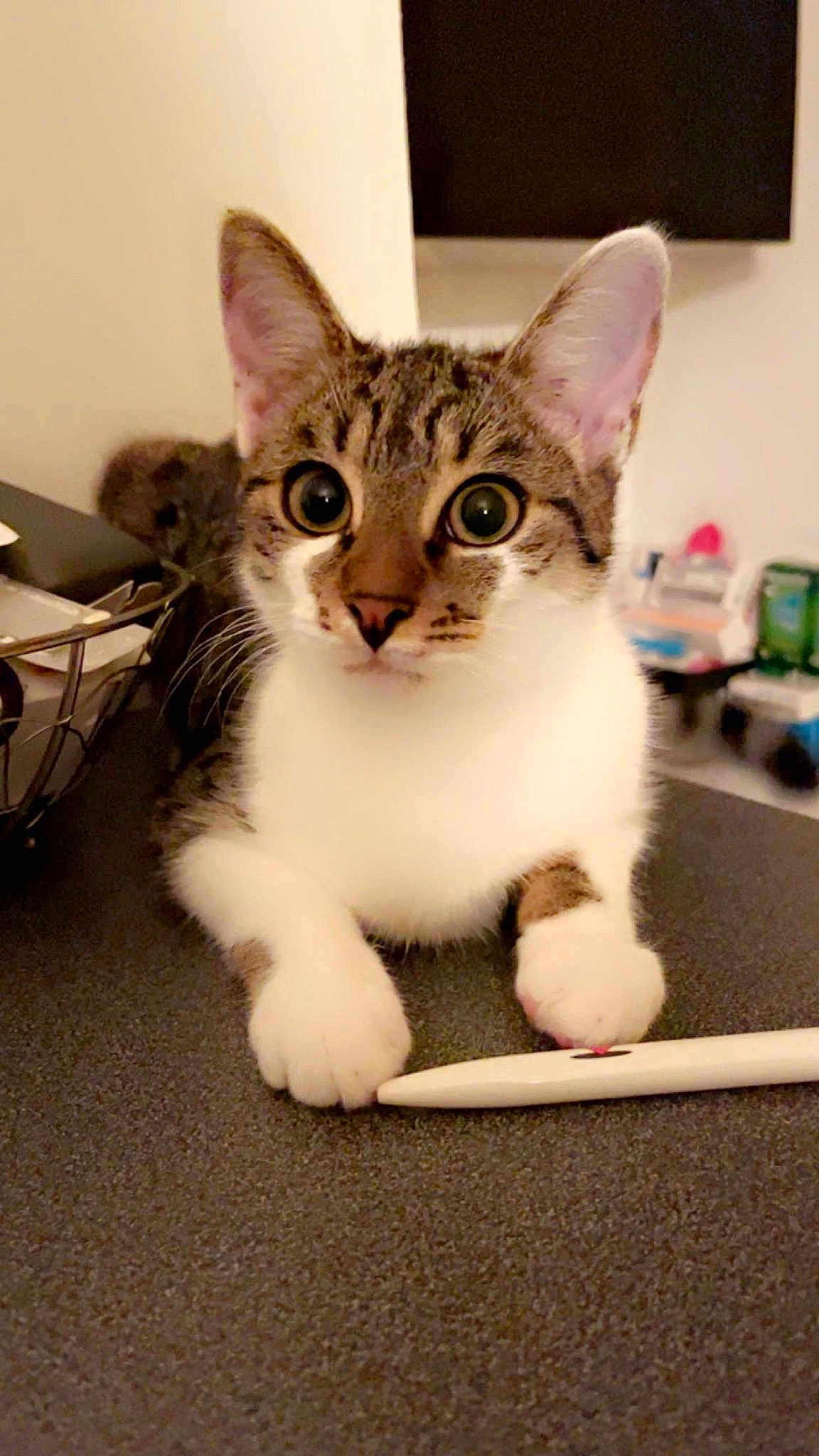 Mia