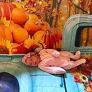 Athena is registered to the contest to win money with this photo: baby, infant, child, pink_outfit, hat, lying_down, face, portrait, pumpkins, sunflowers, autumn, fall, harvest, outdoor, wagon, turquoise, floral, seasonal, colorful, photography