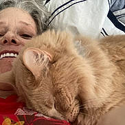 Kopa is registered to the contest to win money with this photo: accessories, animal, baby, bodypart, cat, cushion, face, furniture, happy, head, homedecor, kitten, mouth, person, pet, photography, portrait, selfie, sleeping, teeth
