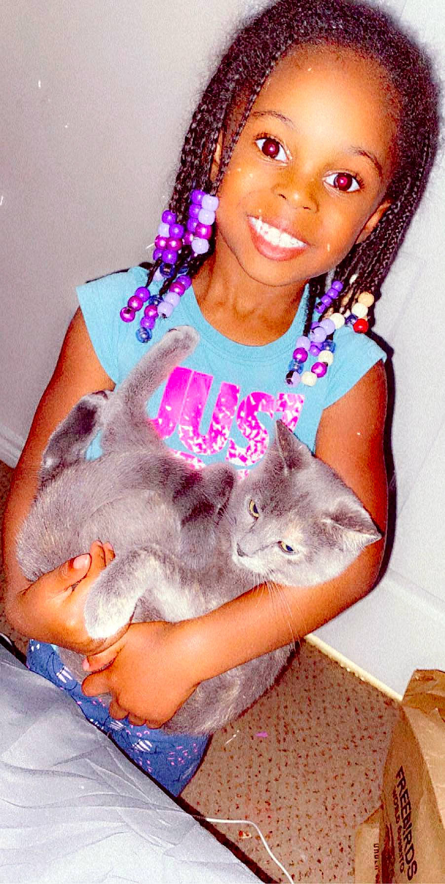 Taylor is registered to the contest to win money with this photo: british_longhair, carnivore, cat, child, child_model, fawn, felidae, joy, kitten, person, sitting, small_to_medium_sized_cats