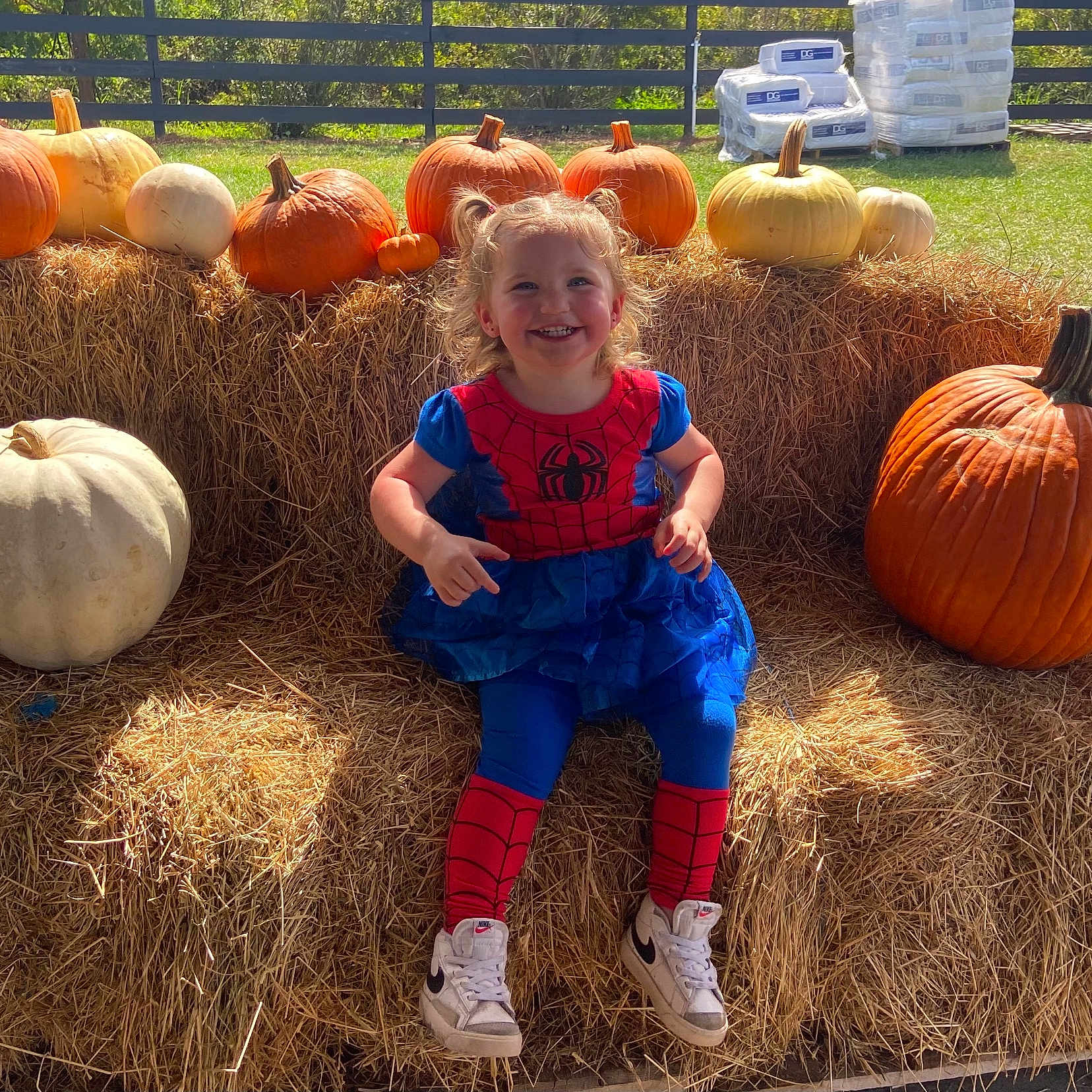 Presley is registered to the contest to win money with this photo: child, clothing, face, female, food, footwear, girl, grass, head, pants, person, photography, plant, portrait, produce, pumpkin, shoe, sitting, squash, vegetable