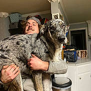 Blu is registered to the contest to win money with this photo: man, dog, indoor, holding, pet, smiling, cap, kitchen, trash_can, cabinet, countertop, hand, furniture, casual_clothing, domestic, animal, companion, portrait, happy, home