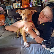 C.j. is registered to the contest to win money with this photo: person, dog, puppy, bed, indoor, smiling, holding, pet, furniture, blanket, candle, flowers, mirror, drawer, television, home_decor, casual, relaxed, curious, cozy