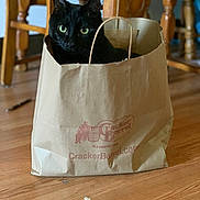 Ebony is registered to the contest to win money with this photo: black_cat, cat, paper_bag, bag, cracker_barrel_logo, green_eyes, wooden_floor, hardwood_floor, chair, dining_table, indoor, pet, cute, curious, sitting, portrait, domestic_animal, fur, handle, household_object
